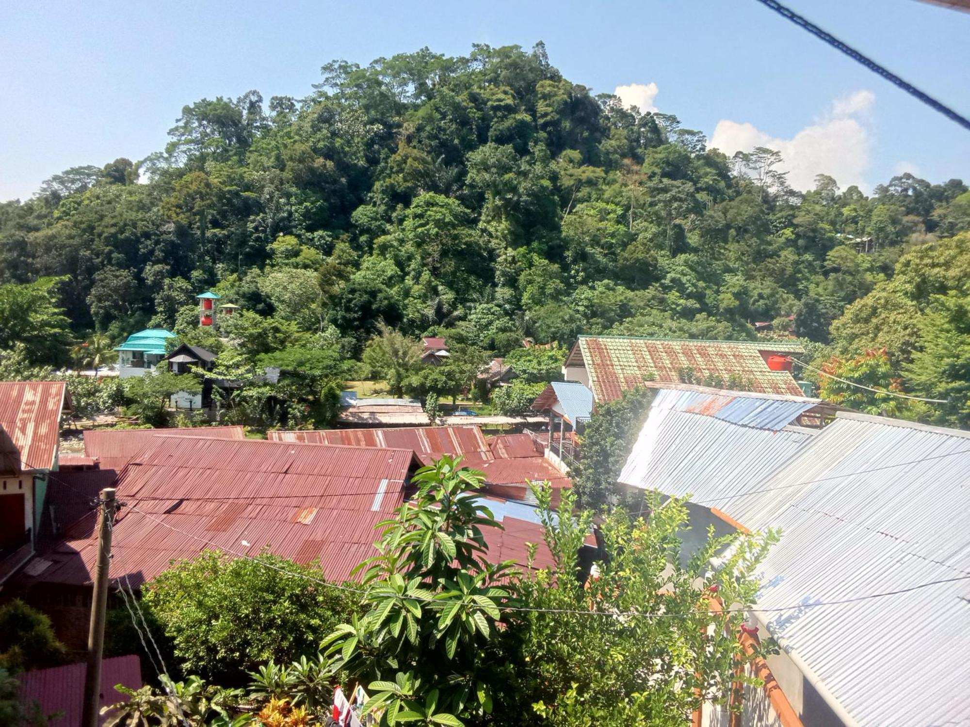 Hostel Jungle treking Bukit Lawang Exterior foto
