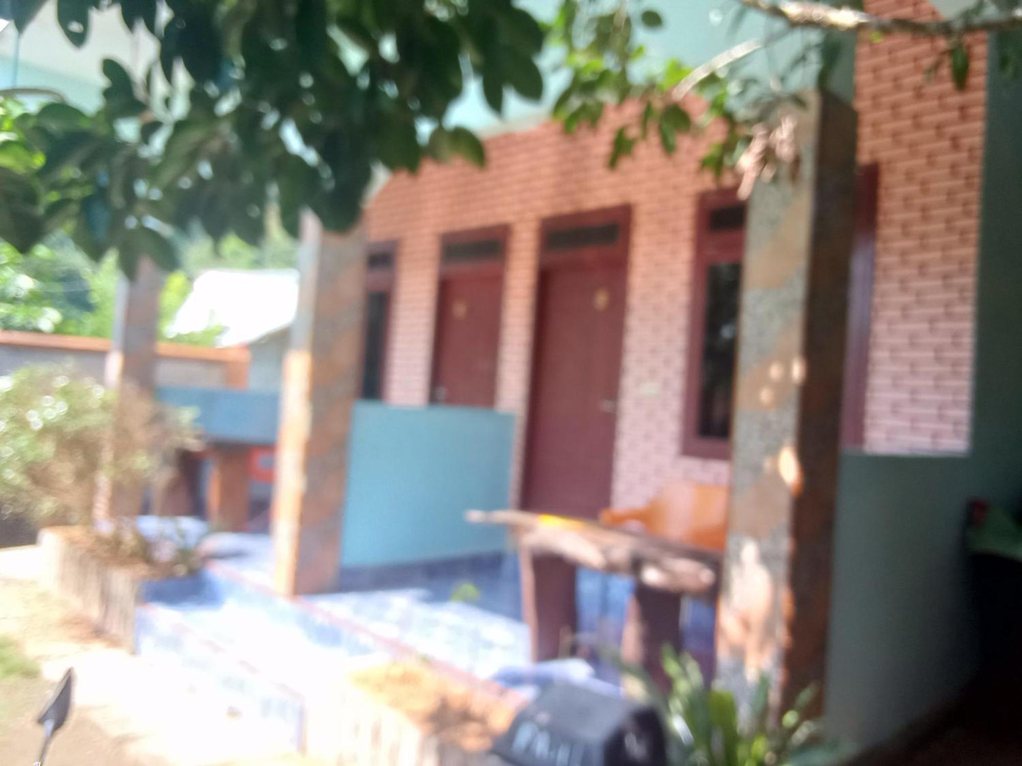 Hostel Jungle treking Bukit Lawang Exterior foto