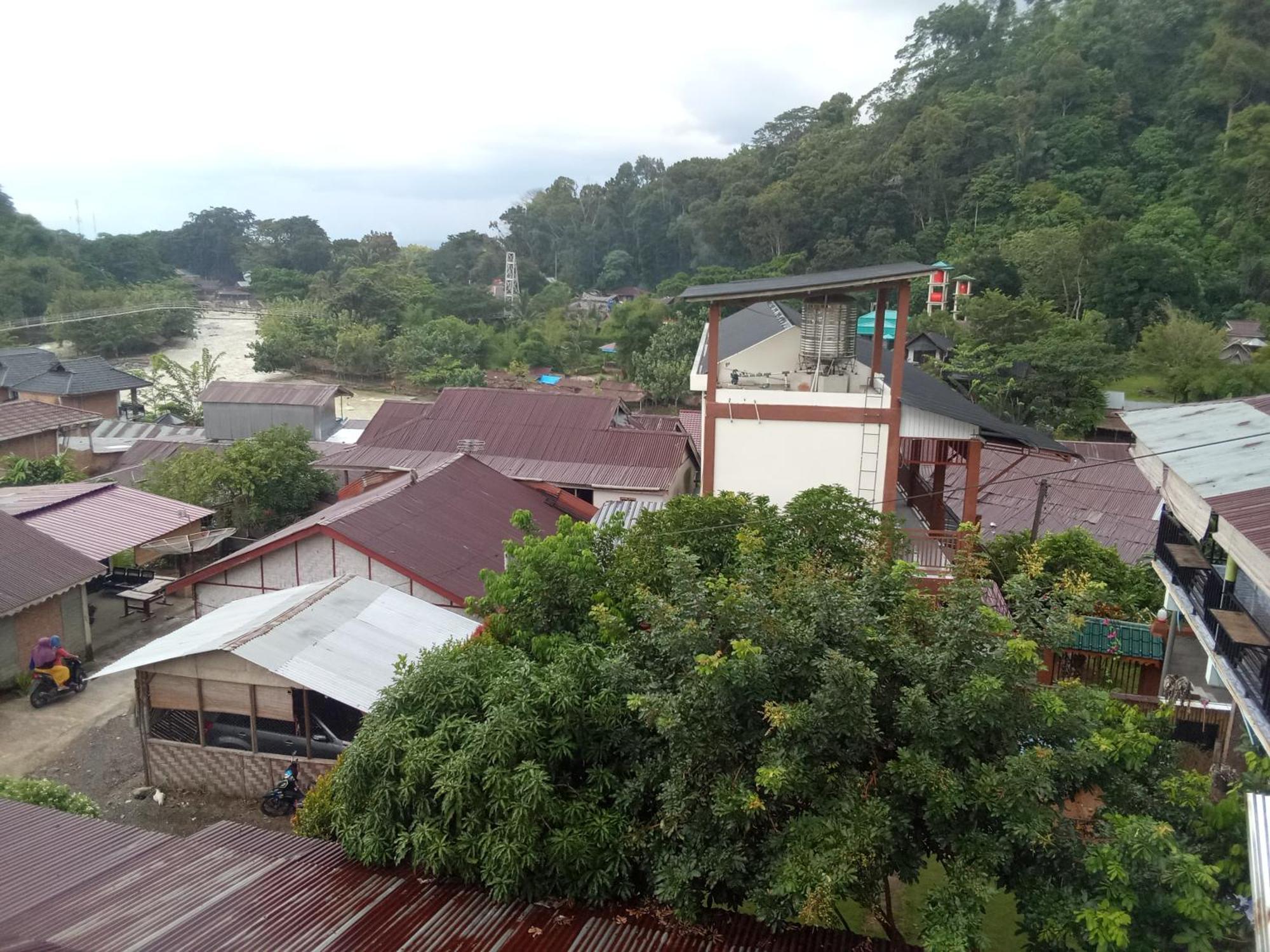 Hostel Jungle treking Bukit Lawang Exterior foto
